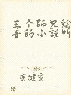 三个师兄轮流上音的小说叫什么