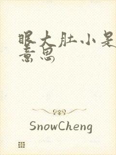 眼大肚小是什么意思