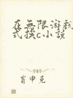 在无限游戏里花式挨c小说封面