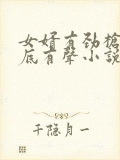 女婿有劲枪枪到底有声小说封面