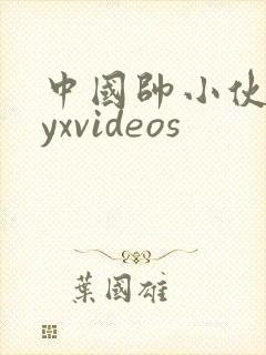 中国帅小伙gayxvideos
