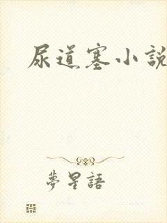 尿道塞小说封面