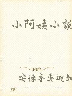 小阿姨小说
