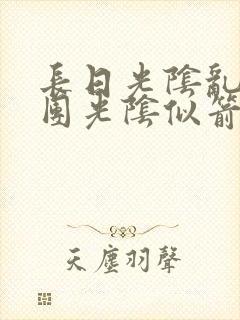 长日光阴乱作一团光阴似箭眇眇封面