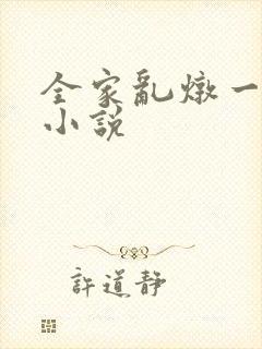 全家乱炖一锅烩小说