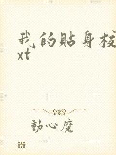 我的贴身校花txt封面
