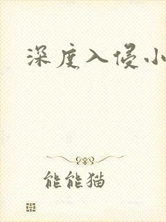深度入侵小说