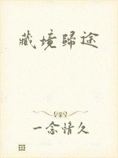 藏境归途