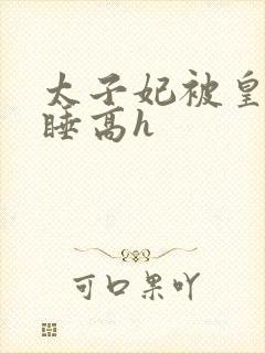 太子妃被皇上强睡高h