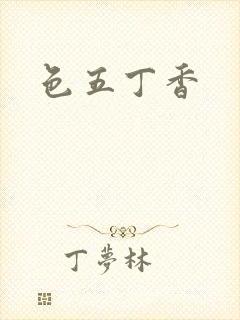 色五丁香封面