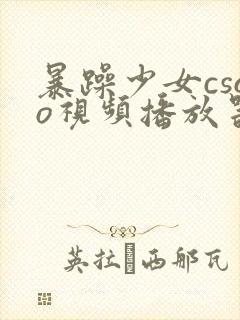 暴躁少女csgo视频播放器推荐