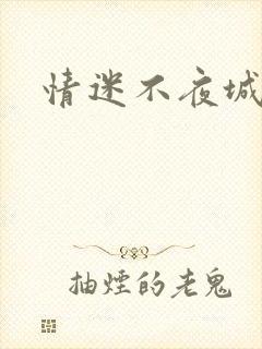 情迷不夜城