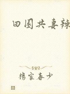 田园共妻辣