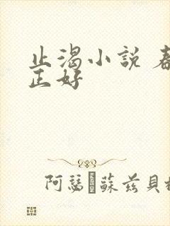 止渴小说 春光正好封面