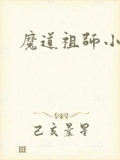 魔道祖师小说封面