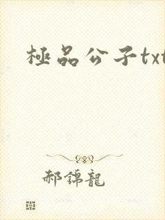 极品公子txt