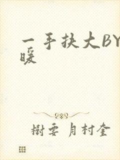 一手扶大BY泱暖封面