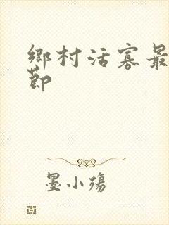 乡村活寡最新章节