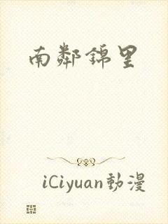 南邻锦里封面
