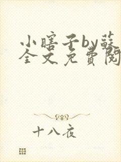 小瞎子by苏软全文免费阅读