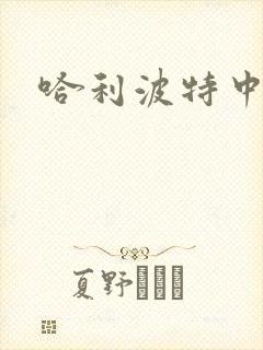 哈利波特中文版