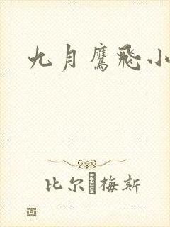 九月鹰飞小说封面