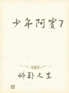 少年阿宾7封面