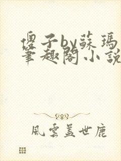傻子by苏玛丽笔趣阁小说