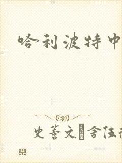 哈利波特中文版