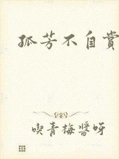 孤芳不自赏小说封面