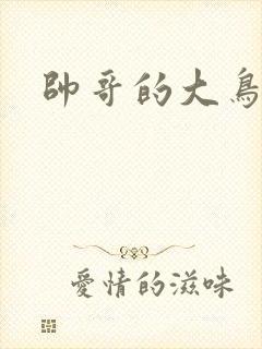 帅哥的大鸟