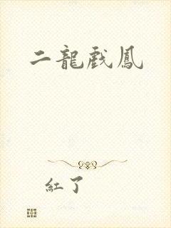 二龙戏凤