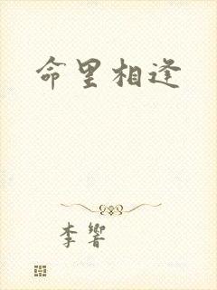 命里相逢封面