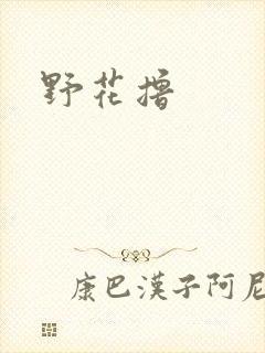 野花撸
