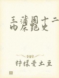 玉蒲团十二寡妇肉床艳史封面