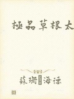 极品草根太子