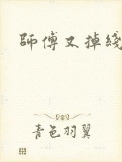 师傅又掉线了
