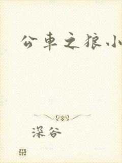 公车之狼小说
