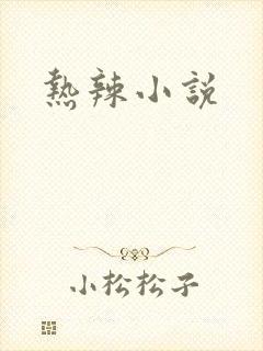 热辣小说