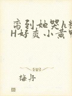 脔到她哭h粗话H好爽小黄鸭视频