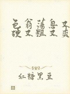 色翁荡息又大又硬又粗又爽电影
