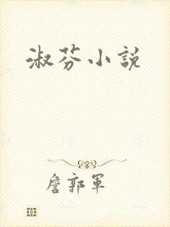 淑芬小说