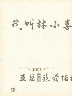 我叫林小喜17