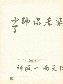少帅你老婆又跑了封面