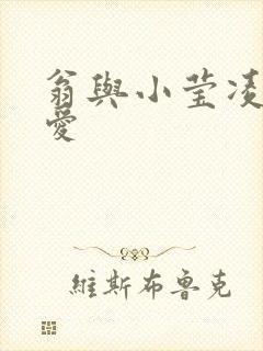 翁与小莹凌晨欢爱