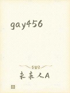 gay456封面