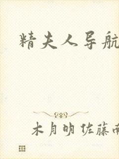 精夫人导航