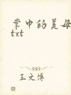 掌中的美母版主txt
