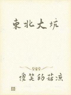 东北大坑