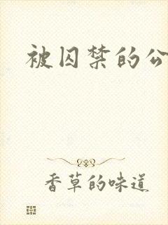 被囚禁的公主